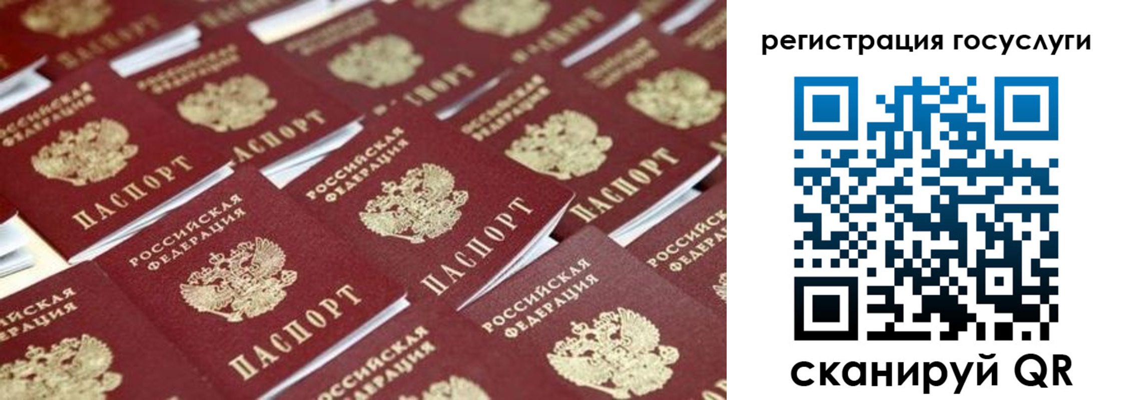 прописка ребенка в Светлом
