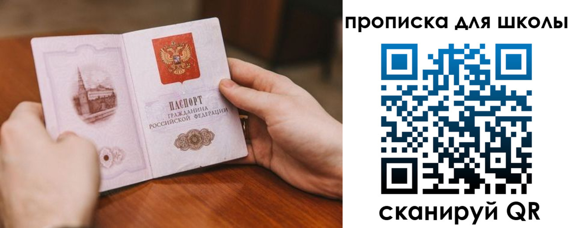 прописка в Светлом